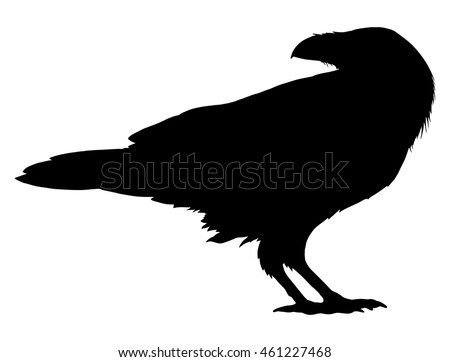 raven stock images royalty free images u0026 vectors shutterstock raven stock images royalty free images u0026 vectors shutterstock