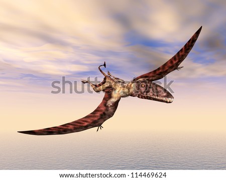 flying dinosaur flying dinosaur