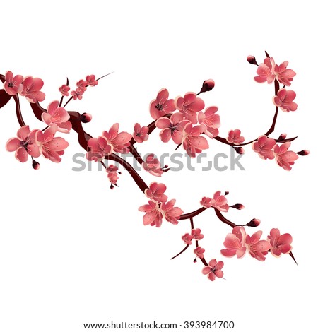 Branch of pink blossoming sakura. Japanese cherry tree. Vector Isolated Illustration on white background