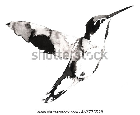 Hummingbird Stock Images, Royalty-Free Images & Vectors | Shutterstock