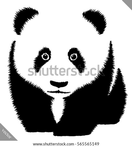 Black White Linear Paint Draw Panda เวกเตอร์สต็อก 565565149 - Shutterstock