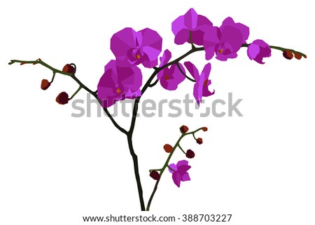 Purple Orchid Stock Images, Royalty-Free Images & Vectors | Shutterstock