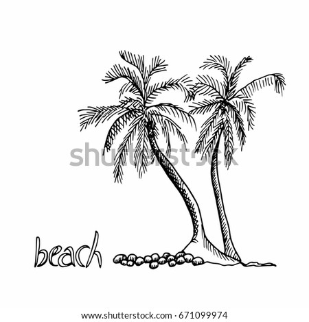 Coconut Tree Drawing Stock Vector 110752385 - Shutterstock