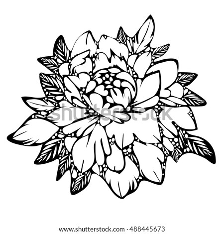 Abstract flower black and white bud and leaves monochrome sketch of tattoo Abstract flower black and white bud and leaves monochrome sketch of tattoo