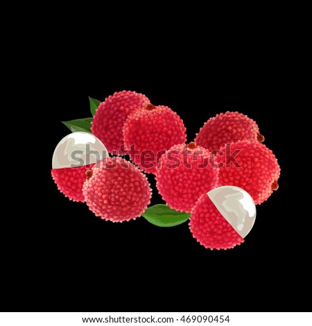 lychee. lychee vector illustration. lychee fruit pattern.