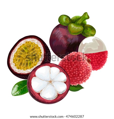 Mangosteen, lychee, passion fruit. lychee fruit pattern. Vector illustration. mangosteen half with slices.