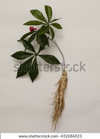 ginseng