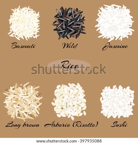 Different types of rice (basmati, wild, jasmine, long brown, arborio, sushi). Vector illustration EPS 10.