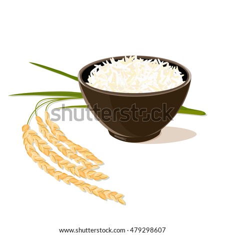 Leaves and spikelets of rice and brown bowl full of white long rice on a white background. Vector illustration.