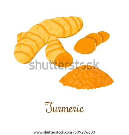 Turmeric root with powder isolated on white background. Vector illustration. Spice symbol. For food design, restaurant, store, market, health care products. Can be used as logo, price tag, label