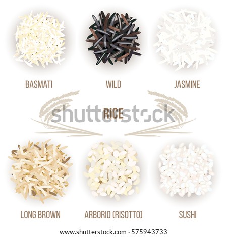 Different types of rice grains isolated on white background. Basmati, wild, jasmine, long brown, arborio, sushi. Vector illustration. For culinary, shop, restaurant. Can be used as tag, label, poster