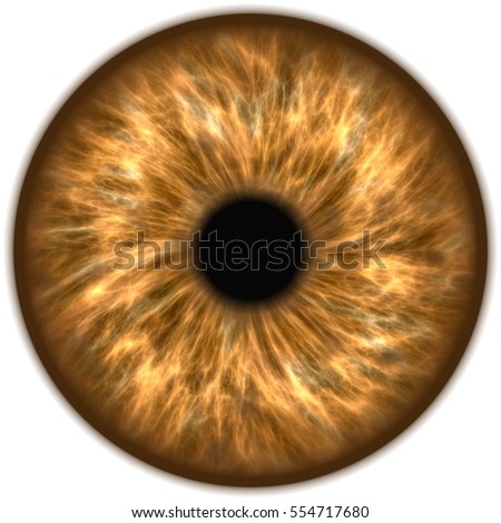 Iris Stock Images, Royalty-Free Images & Vectors | Shutterstock