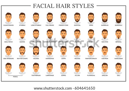 Beard Styles Guide Facial Hair Types Stock Vector (Royalty 