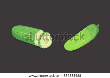Set fresh cucumber, sliced and isolated vector illustration