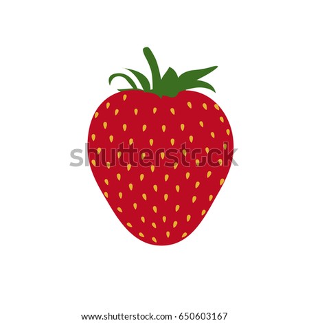 Beautiful red strawberry vector illustration. White background