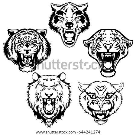 Vintage set of animal head. Tiger, lion, panther, wolf, leopard head vector illustration.