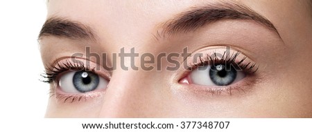 Closeup shot of woman eye with day makeup. Long eyelashes