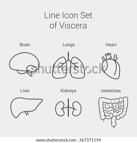 Set Human Organs Vector Different Human Stock Vector 401667820