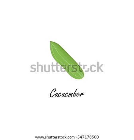 Cucumber hand drawn flat icon