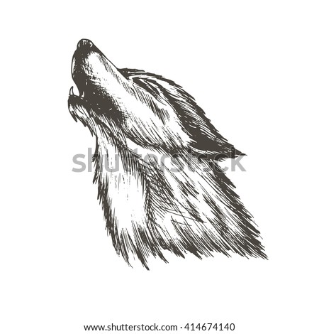 Wolf Eyes Stock Photos, Images, & Pictures | Shutterstock