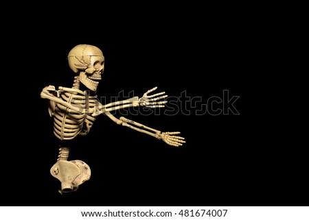 Kung Fu Skeleton