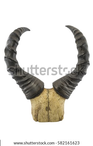 Horns Stock Photos, Royalty-Free Images & Vectors - Shutterstock