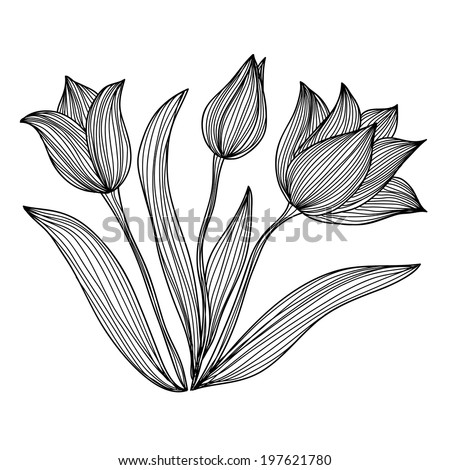 Lotus Flower Black White Isolated On Stock Photo 81242533 - Shutterstock