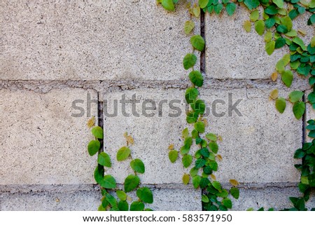 ahorizon's Portfolio on Shutterstock