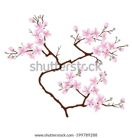 Pink Japan Cherry Blossom Frame On Stock Vector 28740172 - Shutterstock