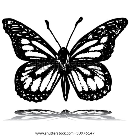 Hand Drawn Butterfly Line Drawing Vector Stock Vector 321200459