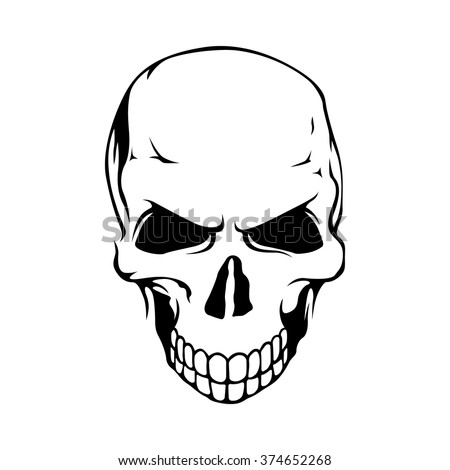 Skull Vector Skull Skull Illustration Skull Stock-vektorgrafik