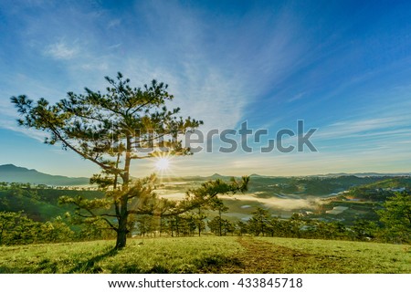 DA LAT, VIETNAM, May 30, 2016: pine forest, highland Da Lat city fog in the morning