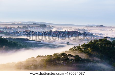 DA LAT, VIETNAM, Sep 17, 2016: pine forest, highland Da Lat city fog in the morning