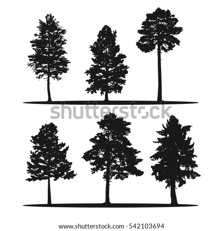 Pine Stock Images, Royalty-Free Images & Vectors | Shutterstock