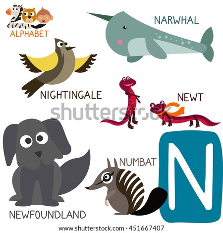 Numbat Stock Images, Royalty-Free Images & Vectors | Shutterstock