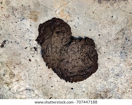 cow poo Anonymously send a package of poop to your friends or enemies the ultimate gag gift sweet revenge at its finest. cow poo Anonymously send a package of poop to your friends or enemies the ultimate gag gift sweet revenge at its finest.