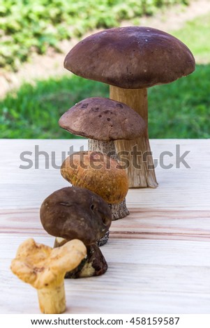 uses for hydrochlorothiazide 50 mg hydrochlorothiazide food interactions