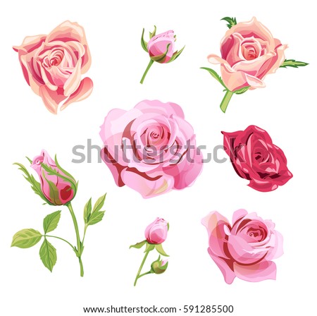 Assorted Roses Heads Various Soft Roses Stock Photo 453295222 ...