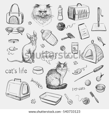 Cats Products Cats Accessories Pets Cat Stock Vector 540733123