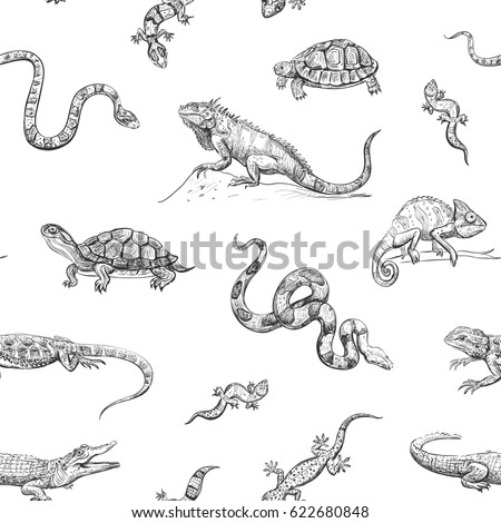 Black White Handdrawing Koi Fish Collection Stock Vector 33547165 ...