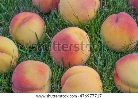 Ripened Peach Crack Ripened Peach Crack