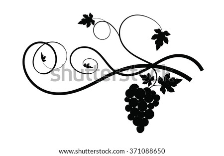 Silhouette grapes