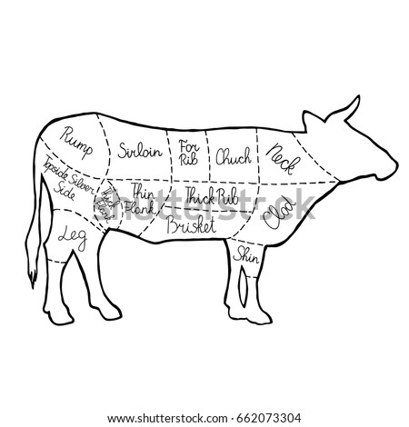 Beef Cuts Coloring Pages