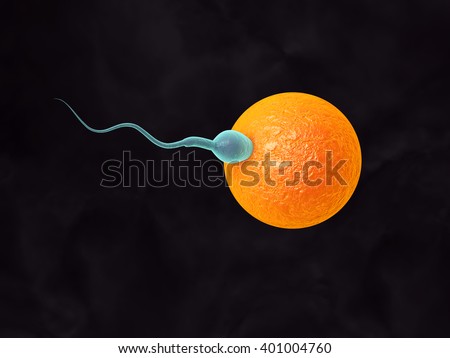 Sperm wiggling fertile egg 09090 live domination