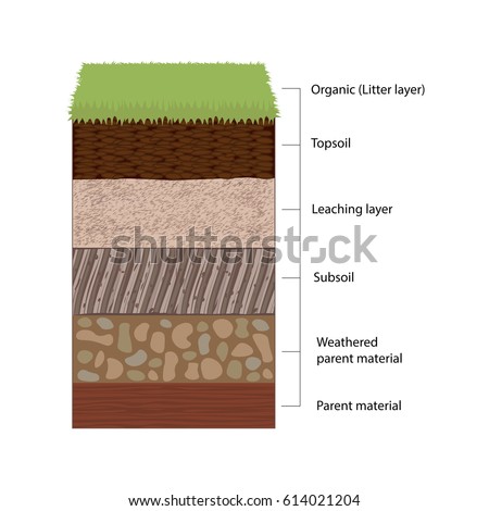 Soil Horizons Distinct Layers Soil Vector Stock Vector 608213459 ...