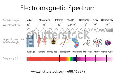 Electromagnetic Spectrum Wavelengths Diagram Stock Illustration ...