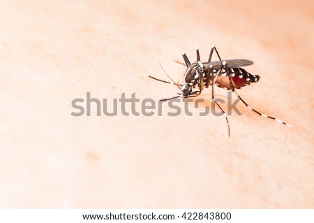 Dengue Stock Images, Royalty-Free Images & Vectors ...