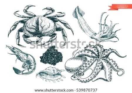 vector hand drawn set of seafood icons crab shrimp squid octopus