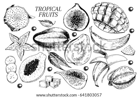 Vector hand drawn exotic fruits. Engraved smoothie bowl ingredients. Tropical sweet food. Carambola, guava, papaya, fig, mango, banana, acai, pitaya, lychee Use for exotic restaurant food party