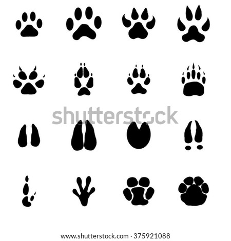 Set Safari Animal Tracks Stock Vector 281716955 - Shutterstock